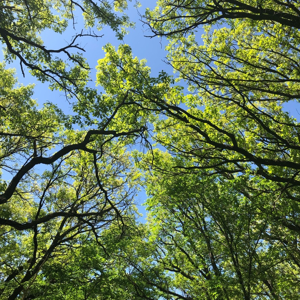 Meet your Posher, Lolo